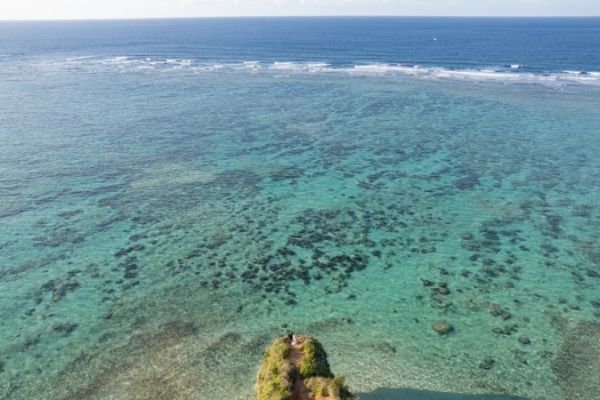 42364fdb9bb961da247f9d2b390e1f50-thumb