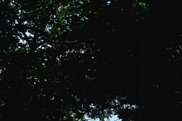 d0b7c5bc91eca1375fe7816ef72e653d-thumb