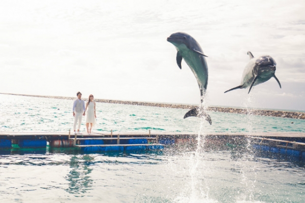 【New!】海豚婚紗攝影方案～石垣島～