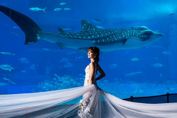 沖縄美ら海水族館⭐︎ラグジュアリー＊満喫フォトツアー